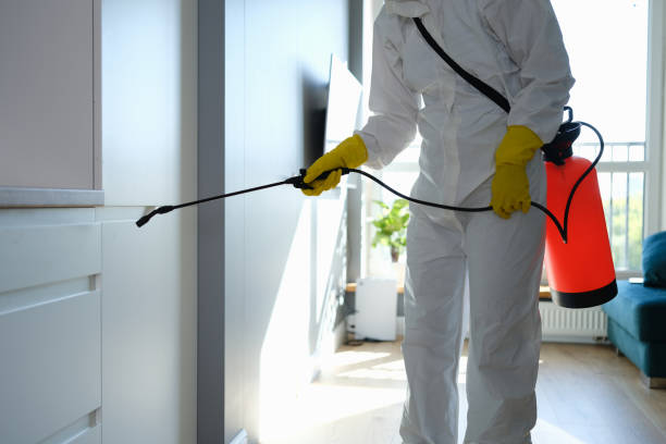 Environmental Consulting for Mold Prevention in Woodbury, NY