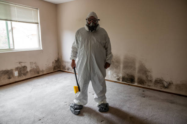 Best Commercial Mold Inspection  in Woodbury, NY